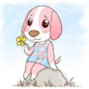 Meet your Posher, Kindlykazii